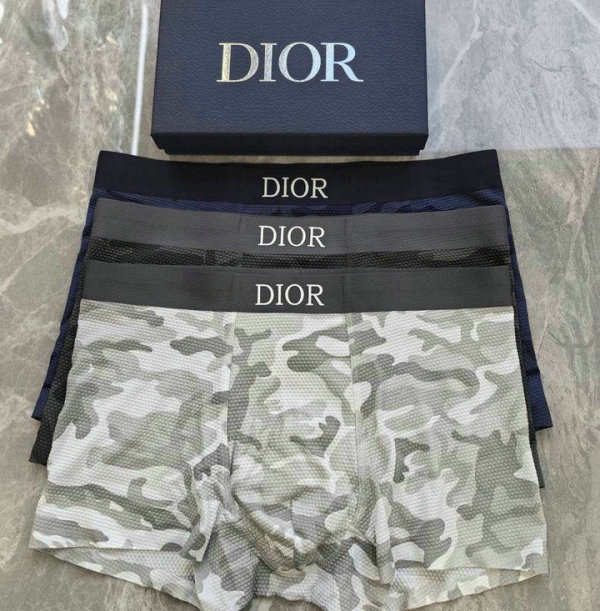 Dior Boxer Briefs Set (100)
