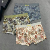 Dior Boxer Briefs Set (79)