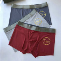Dior Boxer Briefs Set (73)