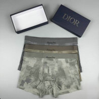 Dior Boxer Briefs Set (111)