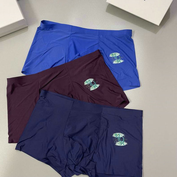 Dior Boxer Briefs Set (75)