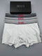 Boss Boxer Briefs Set (13)