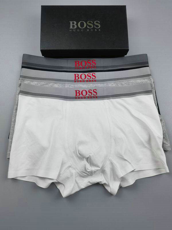 Boss Boxer Briefs Set (13)