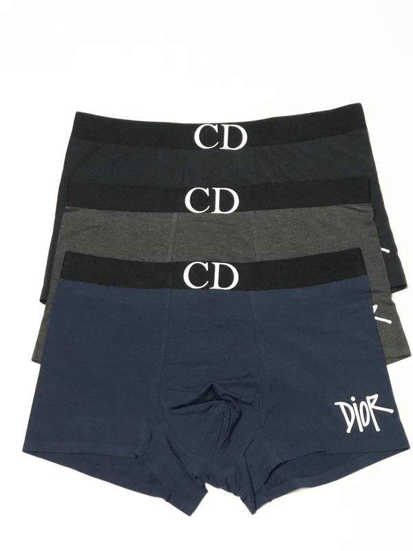 Dior Boxer Briefs Set (31)