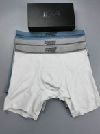 Boss Boxer Briefs Set (15)
