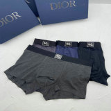 Dior Boxer Briefs Set (86)