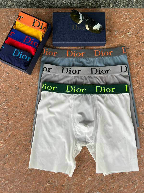 Dior Boxer Briefs Set (93)