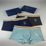 Dior Boxer Briefs Set (84)