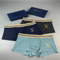 Dior Boxer Briefs Set (84)