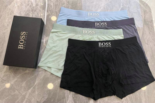 Boss Boxer Briefs Set (9)