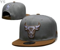 NBA Chicago Bulls Snapback Hat (99)