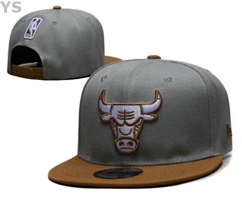 NBA Chicago Bulls Snapback Hat (99)