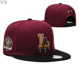 MLB Los Angeles Dodgers Snapback Hat (742)