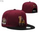 MLB Los Angeles Dodgers Snapback Hat (742)