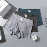 CK Boxer Briefs Set (24)