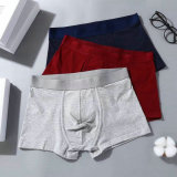 CK Boxer Briefs Set (36)