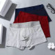 CK Boxer Briefs Set (36)