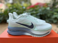 Nike Pegasus Premium (23)