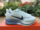 Nike Pegasus Premium (23)