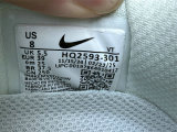 Nike Pegasus Premium (23)