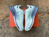 Nike Pegasus Premium (23)
