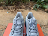 Nike Pegasus Premium (25)