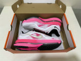 Nike Pegasus Premium (24)