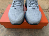 Nike Pegasus Premium (25)