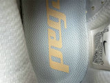 Nike Pegasus Premium (25)