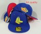 Boston Red Sox 59FIFTY Hat (74)