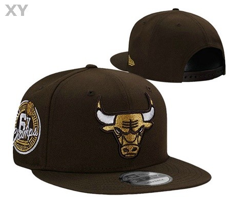 NBA Chicago Bulls Snapback Hat (104)