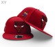 NBA Chicago Bulls Snapback Hat (105)