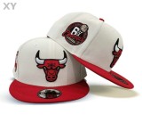 NBA Chicago Bulls Snapback Hat (106)