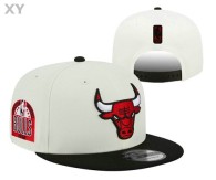 NBA Chicago Bulls Snapback Hat (116)