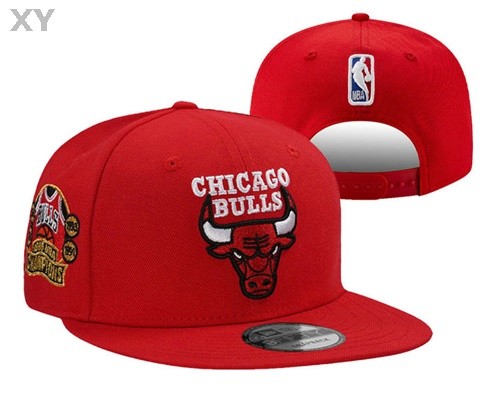 NBA Chicago Bulls Snapback Hat (113)
