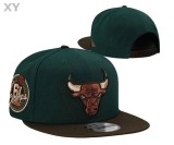 NBA Chicago Bulls Snapback Hat (107)