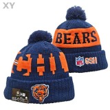 NFL Chicago Bears Beanies (2)
