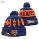 NFL Chicago Bears Beanies (2)