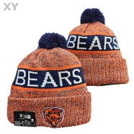 NFL Chicago Bears Beanies (1)