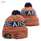 NFL Chicago Bears Beanies (1)