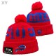 NFL Buffalo Bills Beanies (3)
