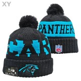 NFL Carolina Panthers Beanies (1)